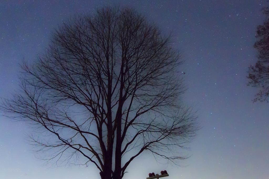Minami Aso Luna Observatory Auberge Mori No Atelier Minamiaso Экстерьер фото