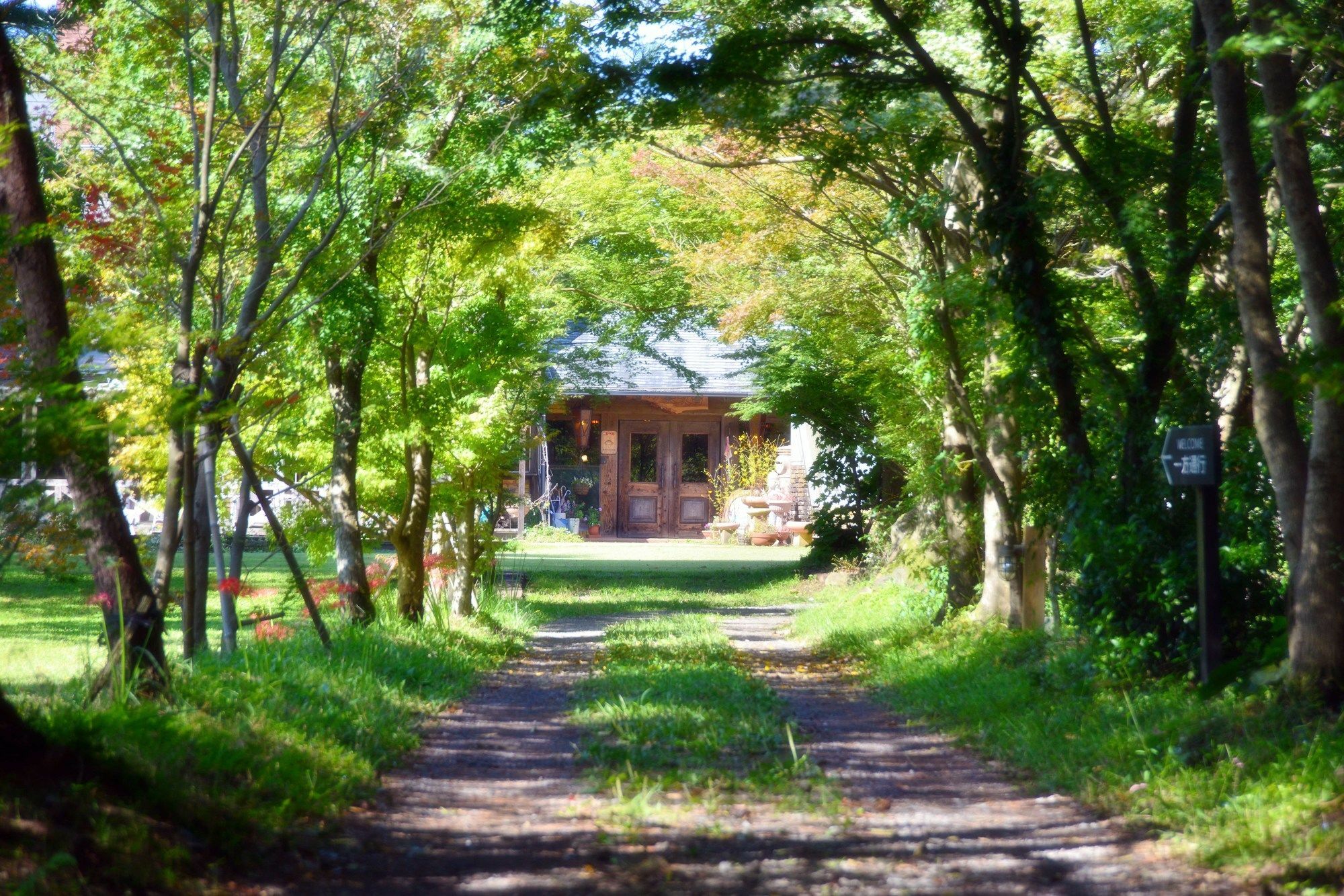 Minami Aso Luna Observatory Auberge Mori No Atelier Minamiaso Экстерьер фото
